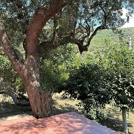 & Garden * Vlorë